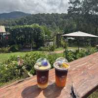 🇹🇭不騎大象也能裝可愛「Elefin Farm & Cafe」