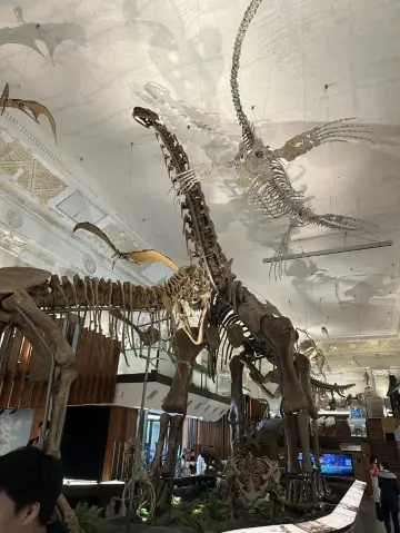 台灣博物館 (National Taiwan Museum) – 台北