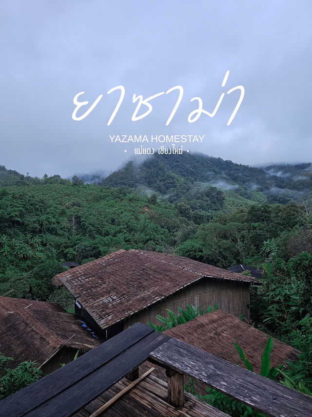 Yazama | ยาซาม่า