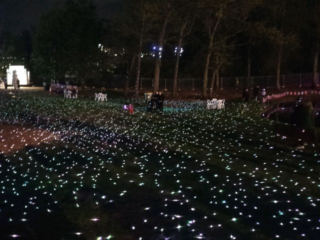 🌹Floriade Nightfest🌹