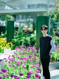 สวนดอกไม้เมืองหนาวระยอง