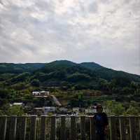 福冈南藏院参拜评论