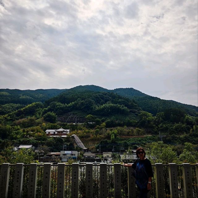 福冈南藏院参拜评论
