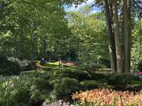 Keukenhof