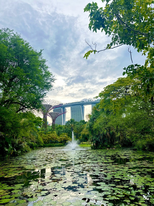 獅城新體驗 ~ 新加坡🌿