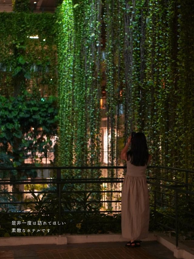 【沖縄】もっと早く泊まりたかった自然と建築美に癒される圧倒的なリゾート🌴