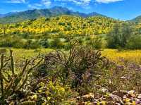 🏜️ Estrella Mountain Regional Park – Arizona’s Desert Escape