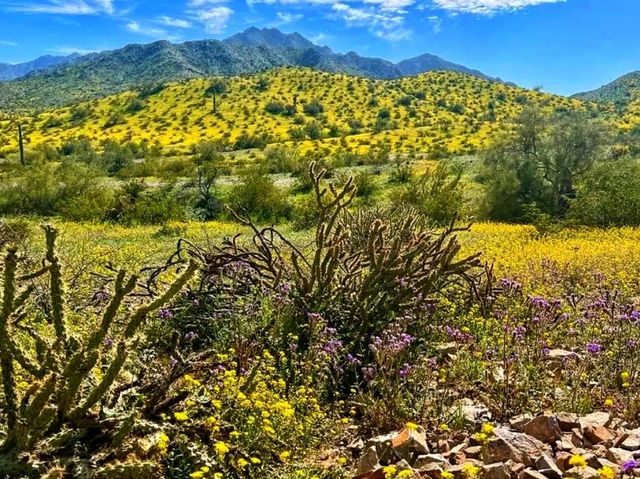 🏜️ Estrella Mountain Regional Park – Arizona’s Desert Escape