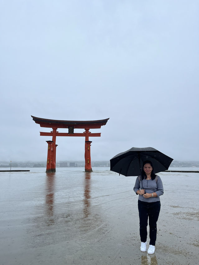 Miyajima Magic🌊