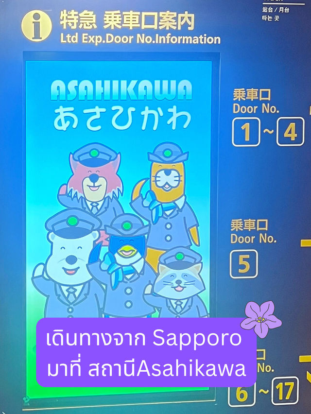 🪻วางแผน one day trip Asahikawa-biei-furano🪻