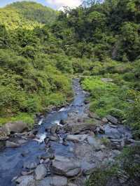 💧🌿 Nature’s Symphony at Xinliao Waterfall 🌸🏞️