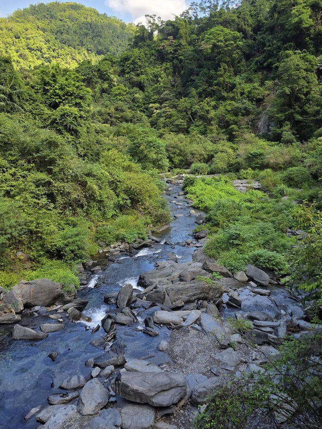 💧🌿 Nature’s Symphony at Xinliao Waterfall 🌸🏞️