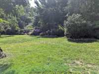 Brooklyn Botanic Garden