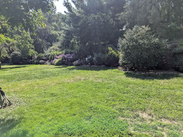 Brooklyn Botanic Garden