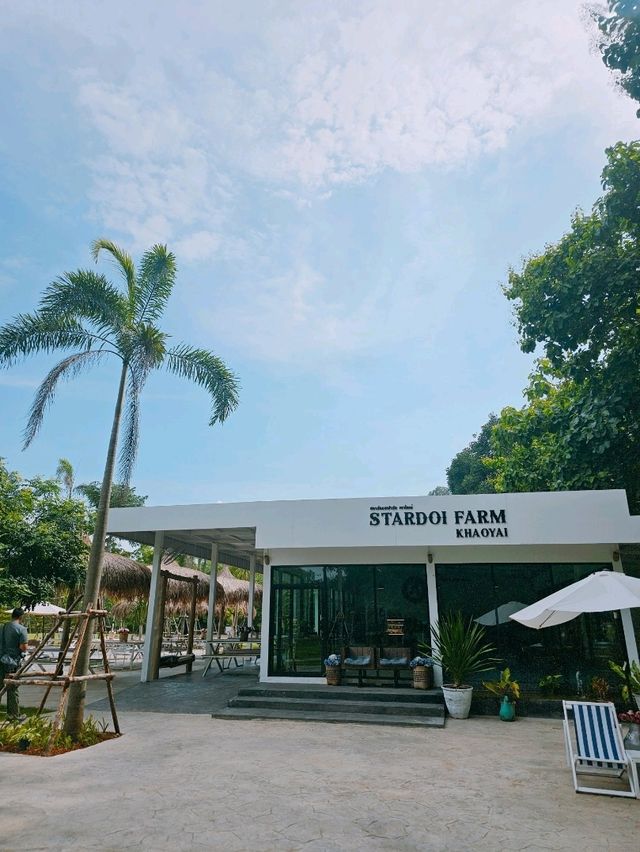 STARDOI FARM 🐑🐑🐑 STARDOI FARM 🐑🐑🐑