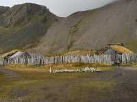 Stepping Back in Time at the Viking Village