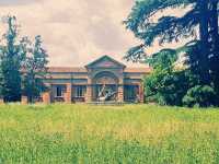 Solo in the Royal Hunting Grounds: La Mandria Park, Venaria