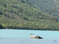 🇨🇳 👹 The Kanas Lake Monster