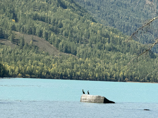 🇨🇳 👹 The Kanas Lake Monster