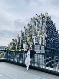 Shanghai experienced