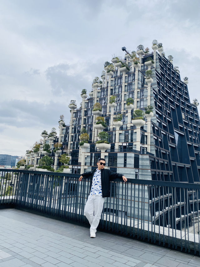 Shanghai experienced Shanghai experienced