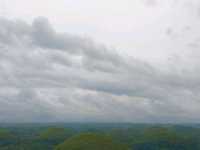 Chocolate Hill Dream🍃