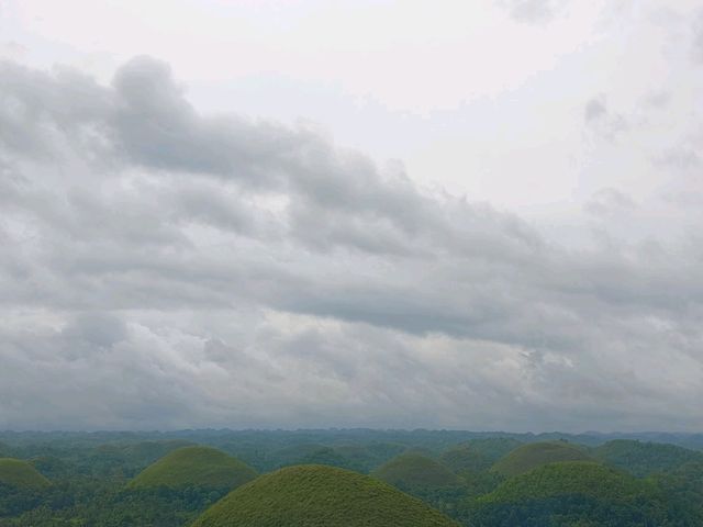 Chocolate Hill Dream🍃 Chocolate Hill Dream🍃