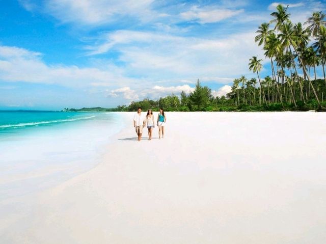 Trikora Beach Vibes🌴Trikora Beach 🏖️