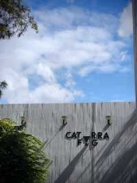 Caturra FŌG Café อ.วังสะพุง จ.เลย