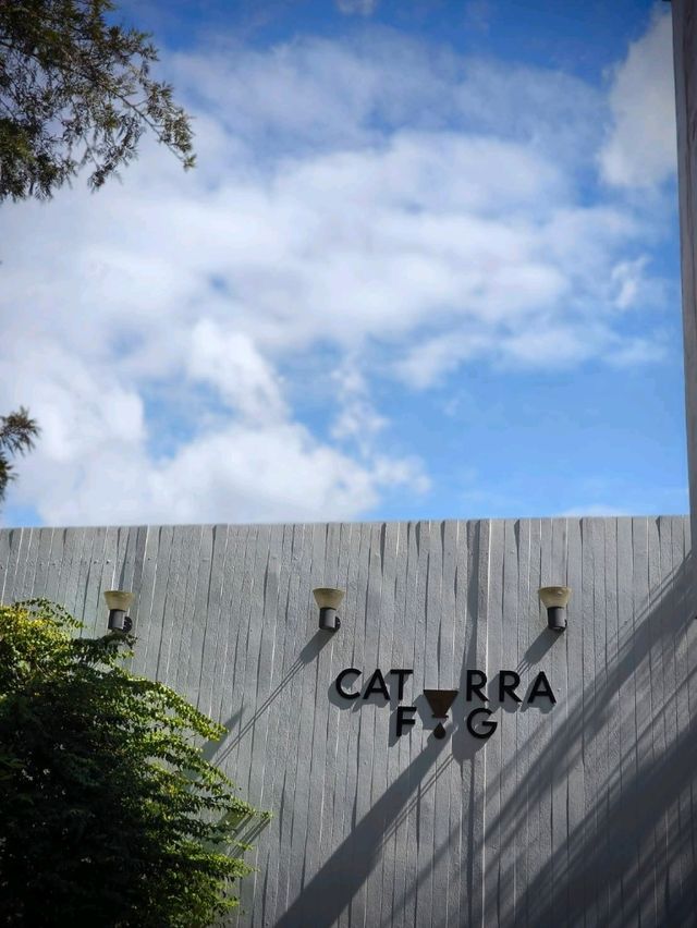 Caturra FŌG Café อ.วังสะพุง จ.เลย Caturra FŌG Café อ.วังสะพุง จ.เลย