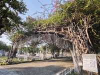 🎄 歡迎來到南國最溫馨夢幻的「聖誕村」#2025屏東聖誕節(搶先日光版)-屏東縣屏東市