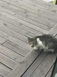 추억에 잠길 수 있는 드라마 명소🤍 빵 맛집 추천!