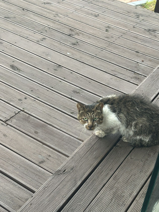 추억에 잠길 수 있는 드라마 명소🤍 빵 맛집 추천! 추억에 잠길 수 있는 드라마 명소🤍 빵 맛집 추천!