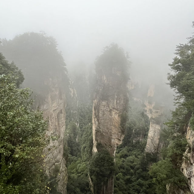 Zhangjiajie National Forest Park — East Gate One-Day Route That Actually Works Zhangjiajie National Forest Park — East Gate One-Day Route That Actually Works