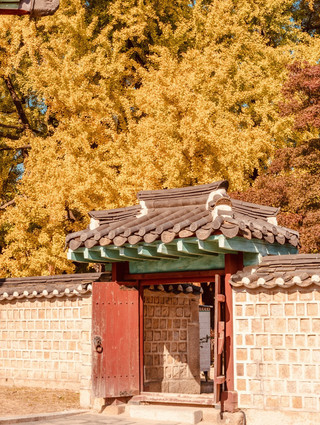Myeongnyundang (명륜당) – A Golden Frenzy for Photographers