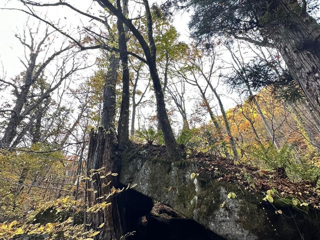 跟著松尾芭蕉的足跡～東北奧之細道賞楓