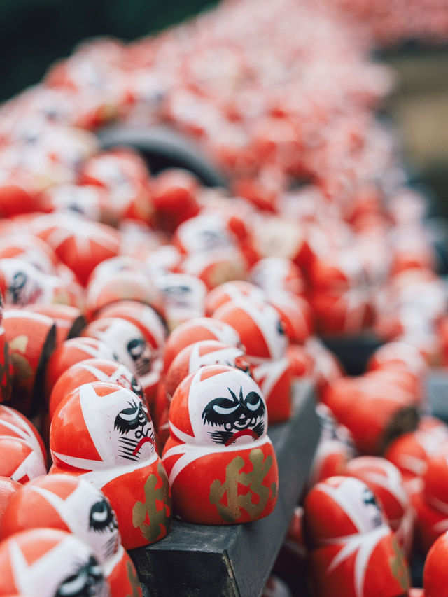 勝尾寺超級可愛滿山達摩! 勝尾寺超級可愛滿山達摩!