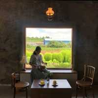 제주 동쪽 감성 카페 이에르바🍊