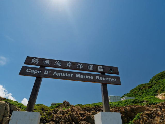 Where Concrete Meets Coral: The Resilient Refuge of Cape D’Aguilar 