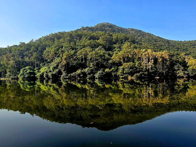 Jade in the Hills: The Mirrored Soul of Lau Shui Heung Jade in the Hills: The Mirrored Soul of Lau Shui Heung