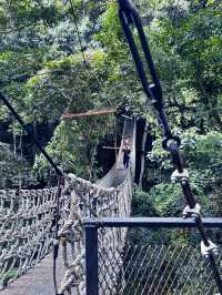 Nature Retreat Inn🍃