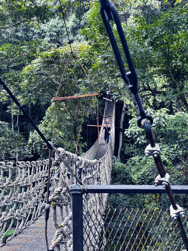 Nature Retreat Inn🍃