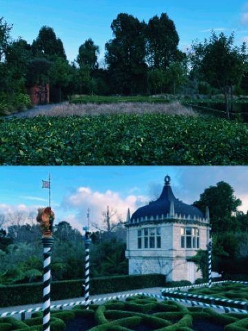 뉴질랜드 해밀턴 가든스 후기 | 무료라서 기대 안 했는데 만족도 최고