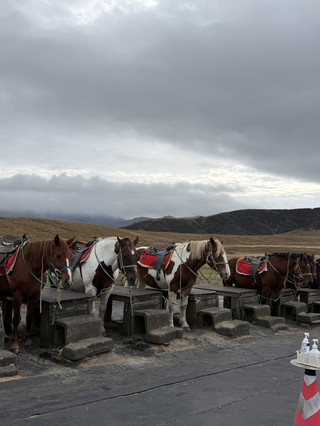 Recommended scenic grassland walks for families 🌿 A complete guide to family trips to Mount Aso and the grasslands 🌿