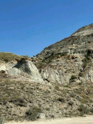 Dinosaur Provincial Park
