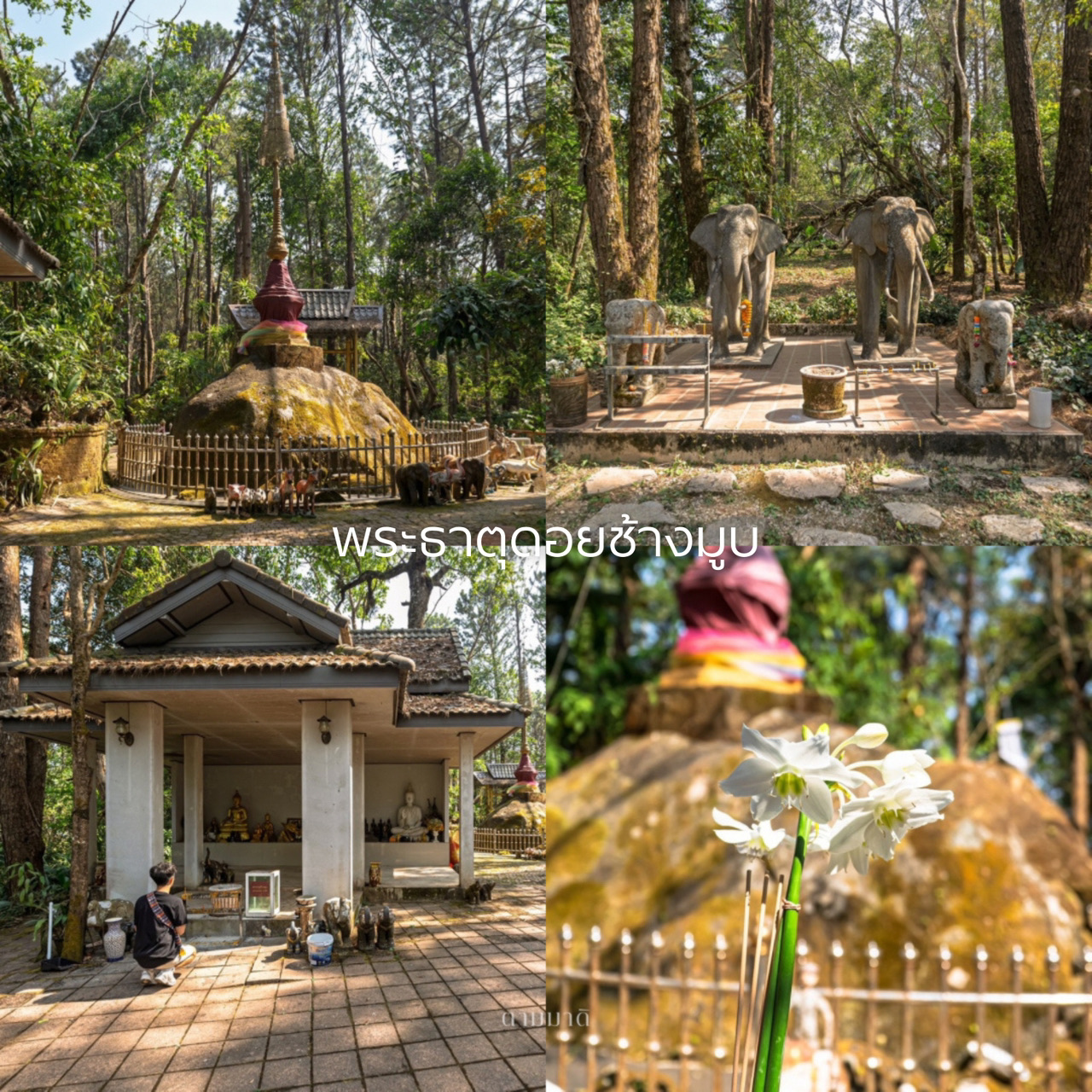 🗺️ Chiang Rai 3 ngày: Một chuyến đi thư giãn, không vội vã để khám phá mọi thứ.