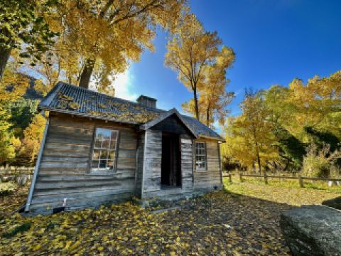 Arrowtown, dappled with autumn colors, maple leaves in full bloom 🍁