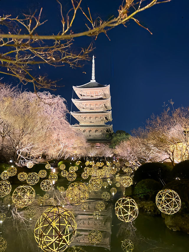 【京都府】夜、月光に染まる東寺。