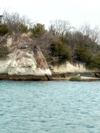 松島の穏やかな海を滑るように進む | Trip.com 松島町