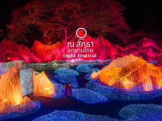 𝐍𝐀𝐒𝐀𝐓𝐓𝐀 光影節